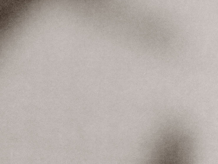 January | In Your Dreams