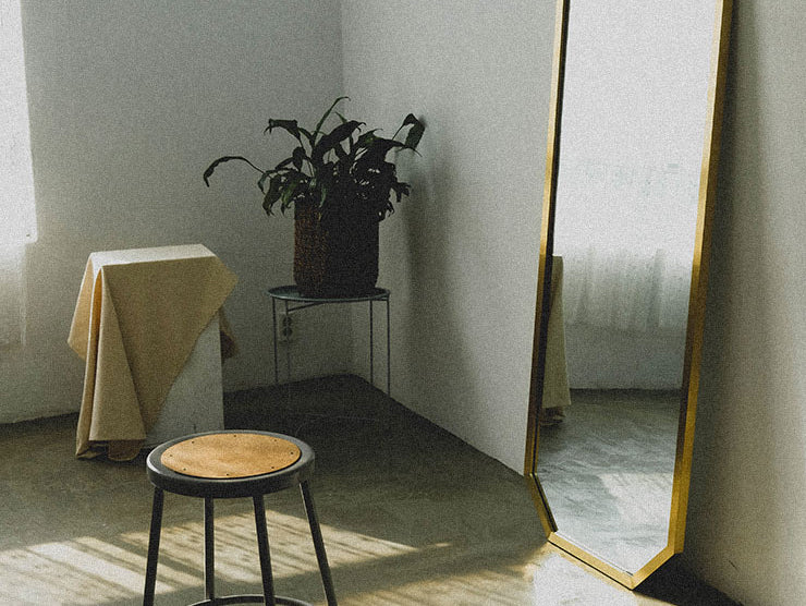 Mirror Images by Mara Fisher