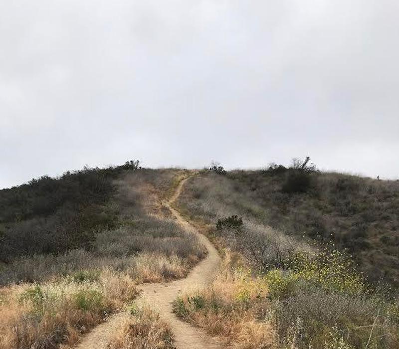 Ashley's Thoughts - hard road or enjoyable one