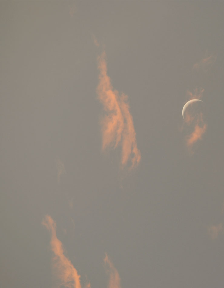 The Space Between — Dream Experiments with Scent