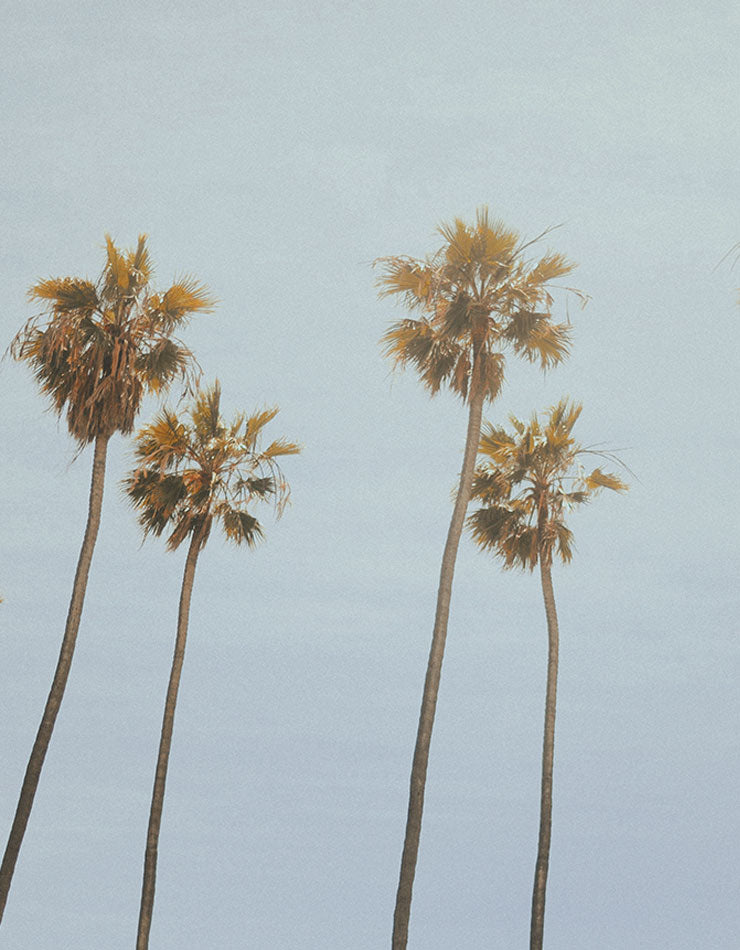 My Maps of Los Angeles