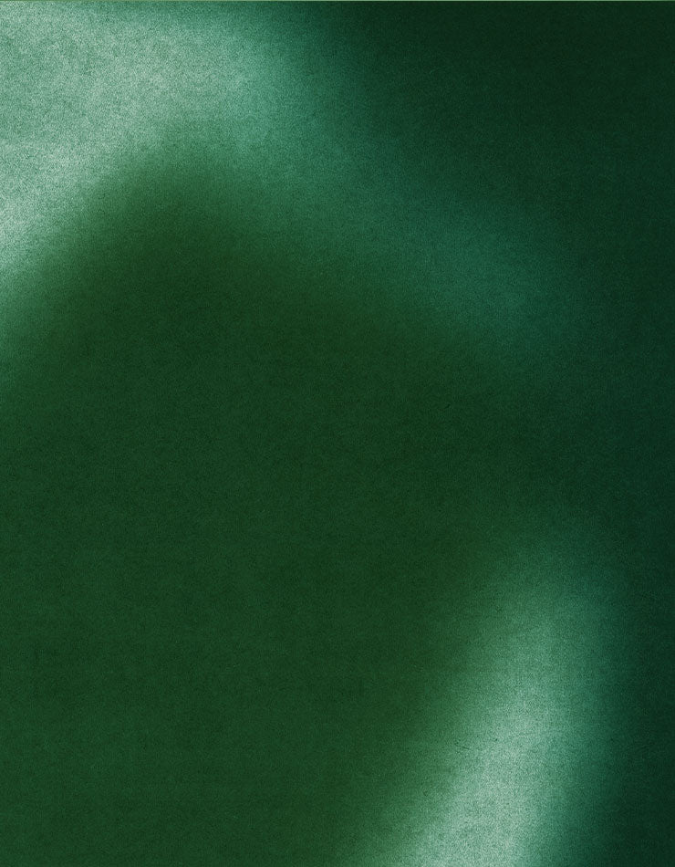 November In Your Dreams Blog