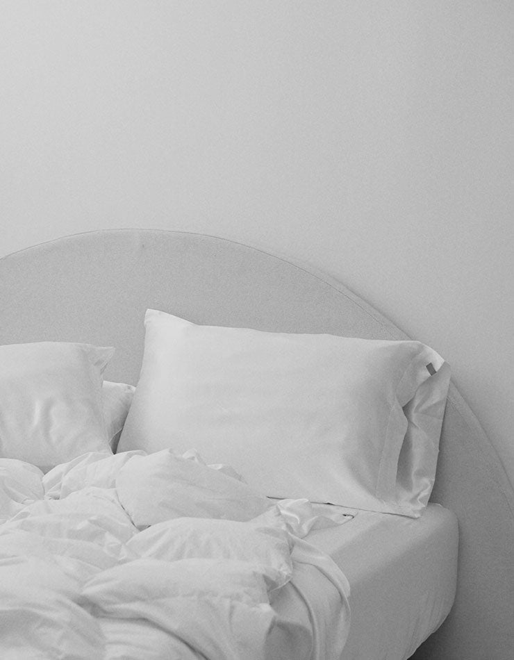 Scientific Portals to When, How and Why We Dream