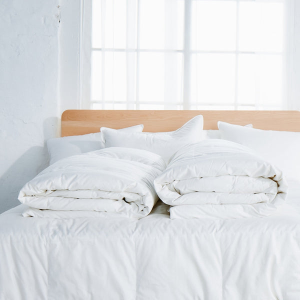 Down Duvet Insert