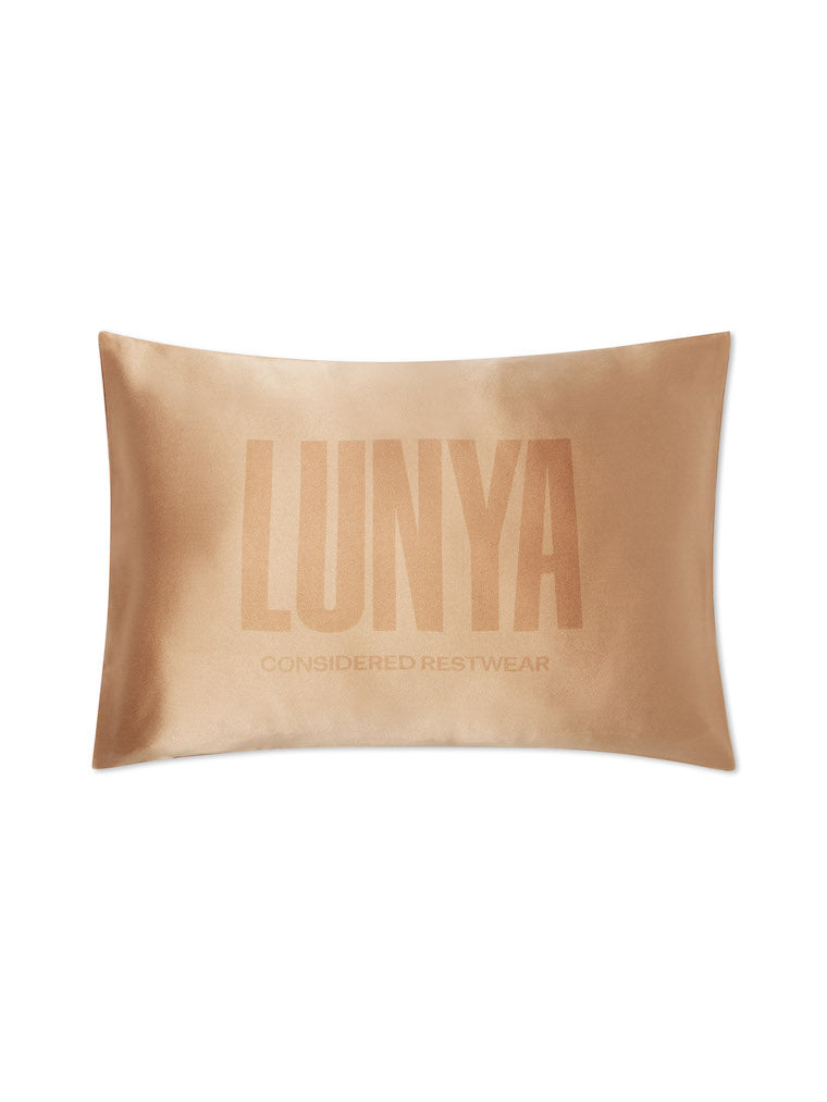 Washable Silk Travel Pillow Lunya